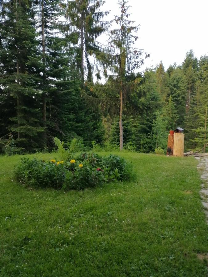 P-Zlatar, Apartman 3 Brdo Buitenkant foto