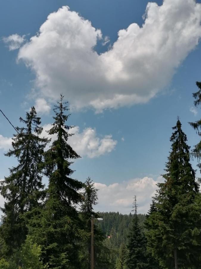 P-Zlatar, Apartman 3 Brdo Buitenkant foto