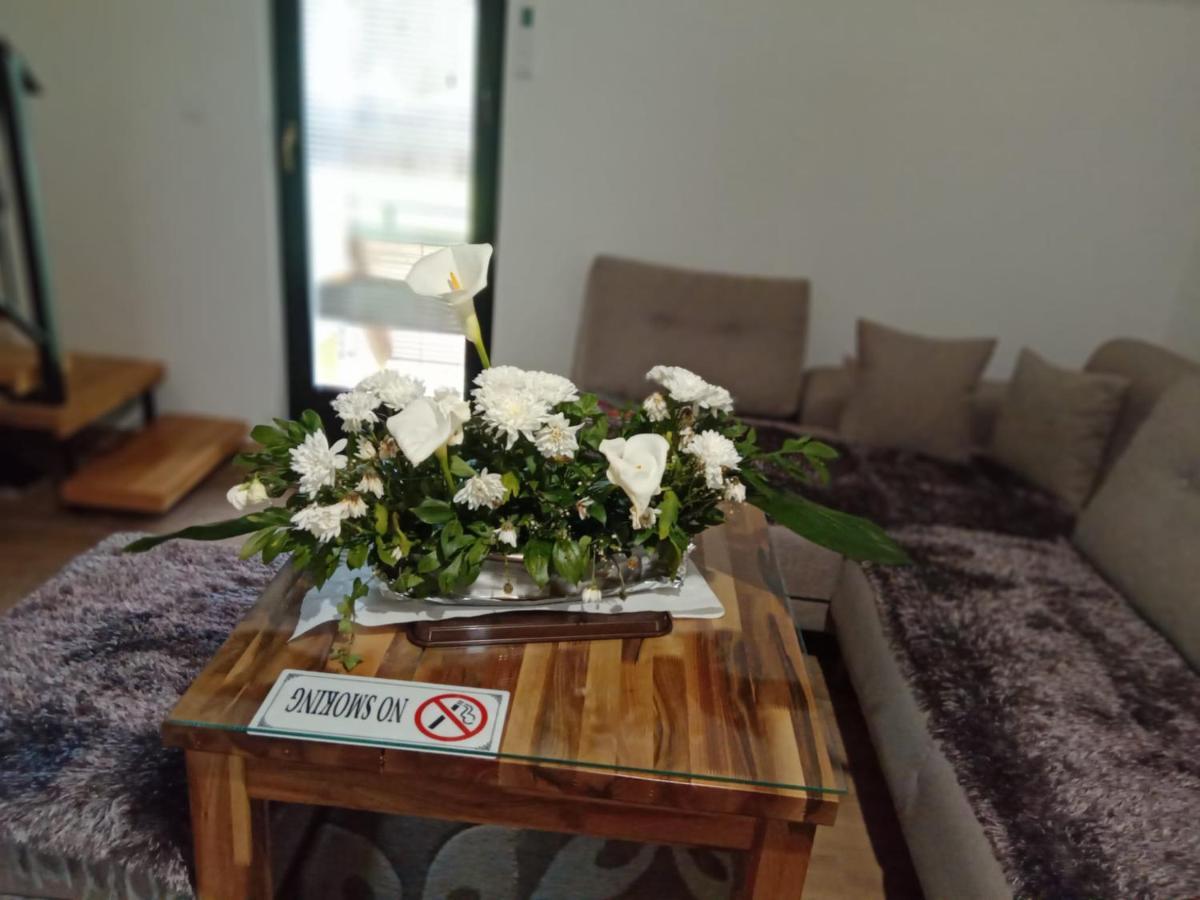 P-Zlatar, Apartman 3 Brdo Buitenkant foto