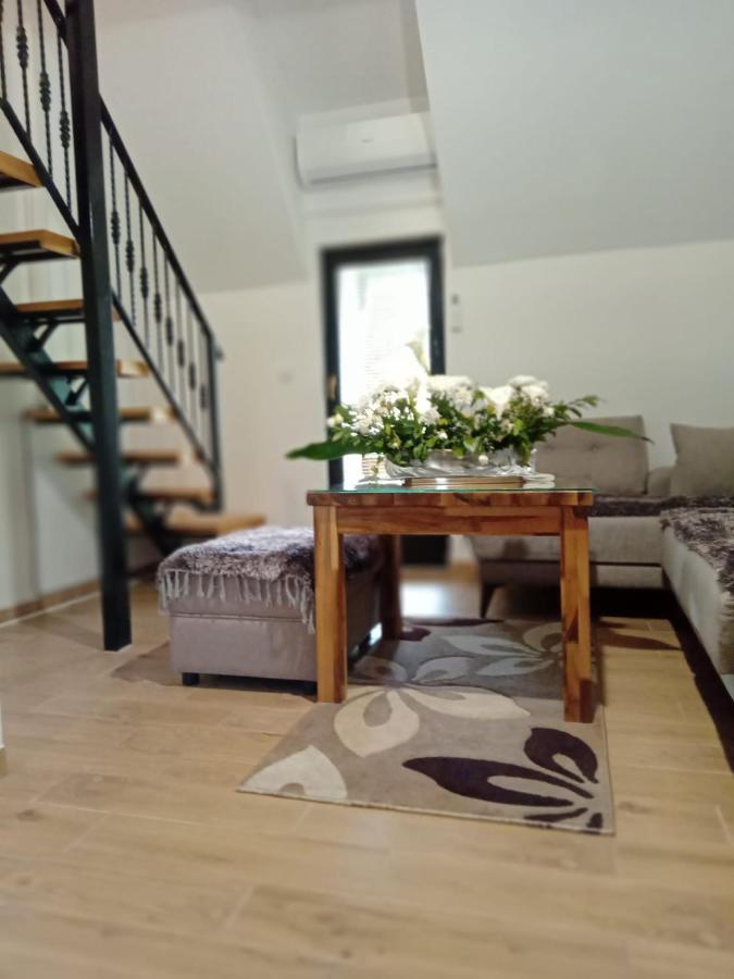 P-Zlatar, Apartman 3 Brdo Buitenkant foto